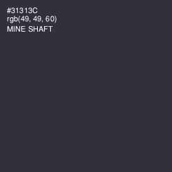 #31313C - Mine Shaft Color Image